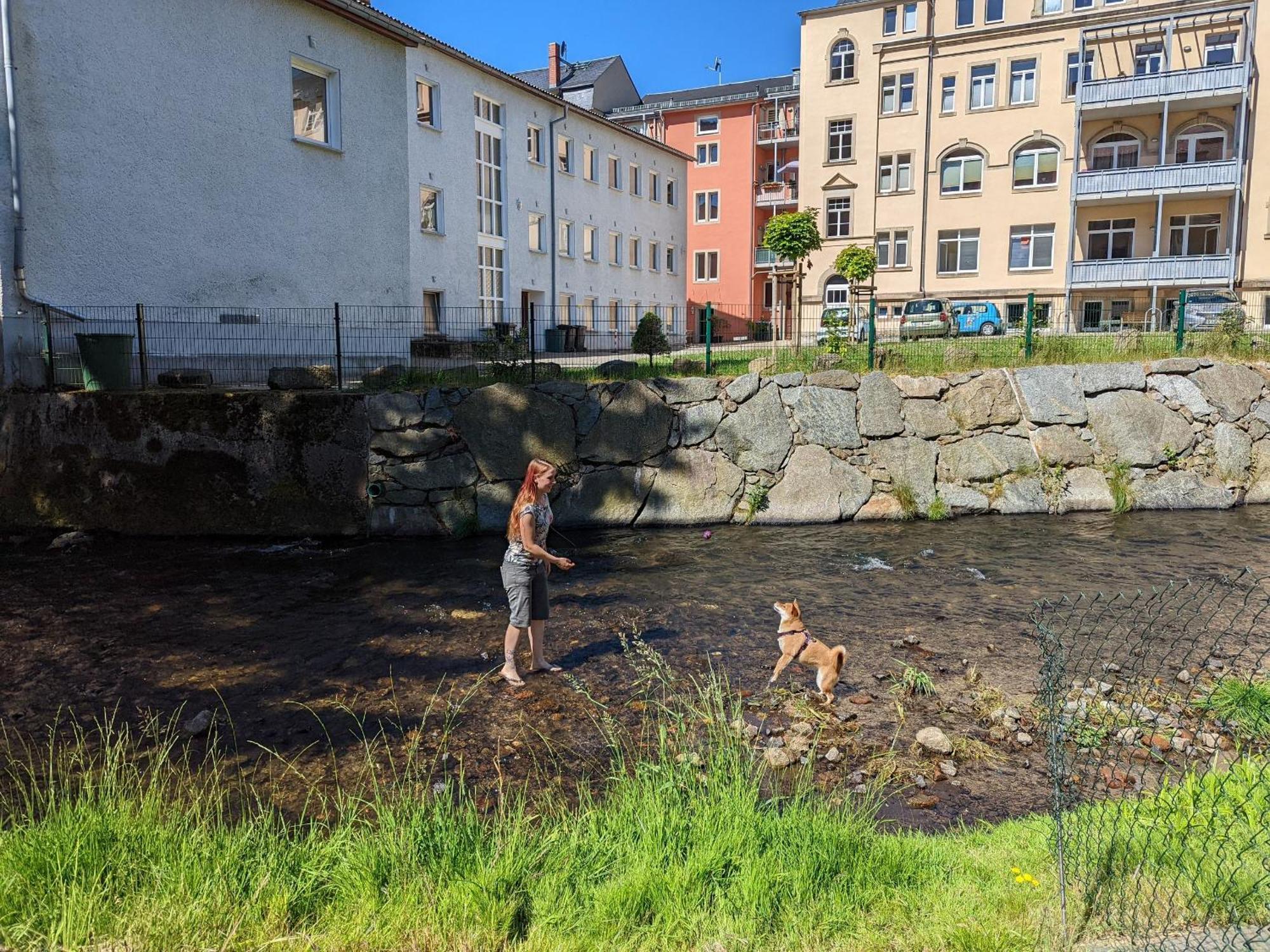 Ferienwohnung Zi2 - Urlaubsmagie - Whirlpool, Sauna Und Garten Sebnitz Exterior foto