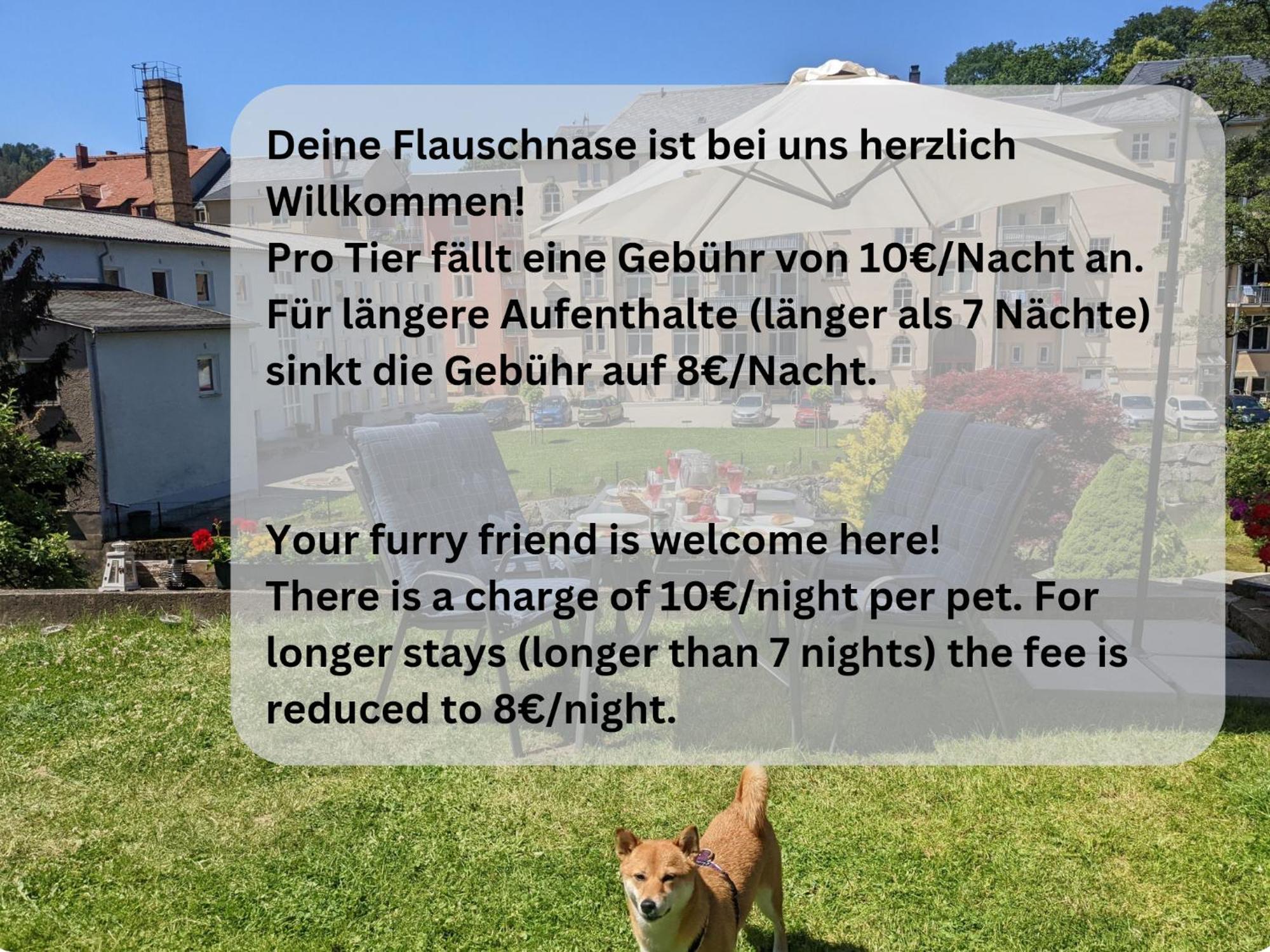Ferienwohnung Zi2 - Urlaubsmagie - Whirlpool, Sauna Und Garten Sebnitz Exterior foto